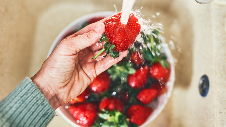 Washing and inspecting fresh strawberries