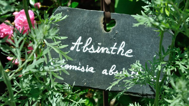 garden sign that reads absinthe