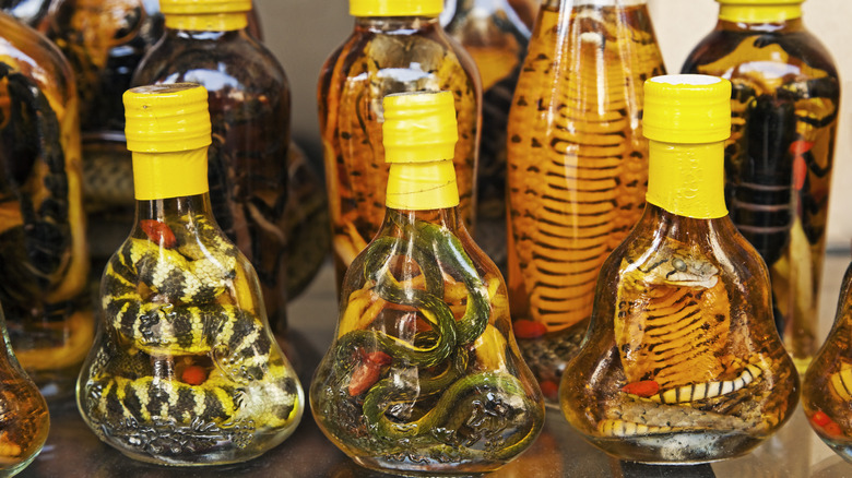 snake wine bottles sitting on a shelf