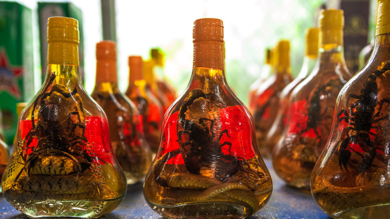 snake wine bottles with scorpions