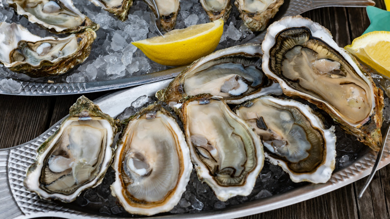 Raw oysters on ice with lemon on the platter