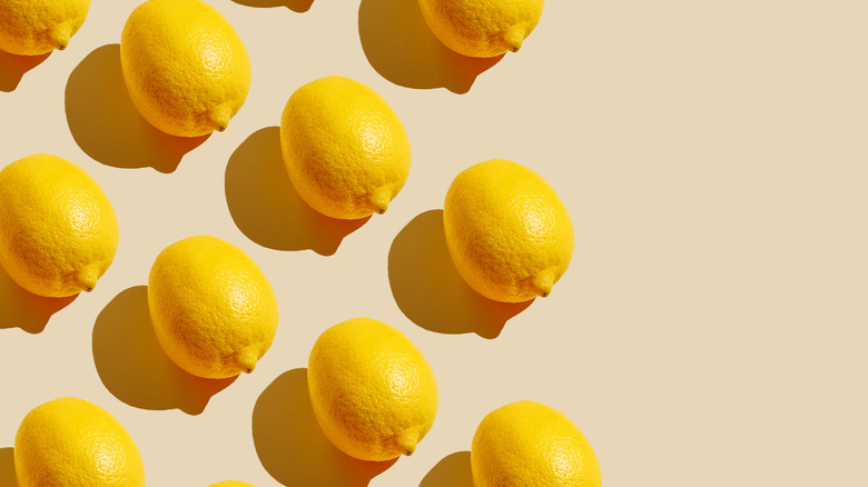 rows of lemons on aesthetic background