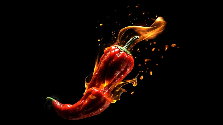 Two red chili peppers on fire