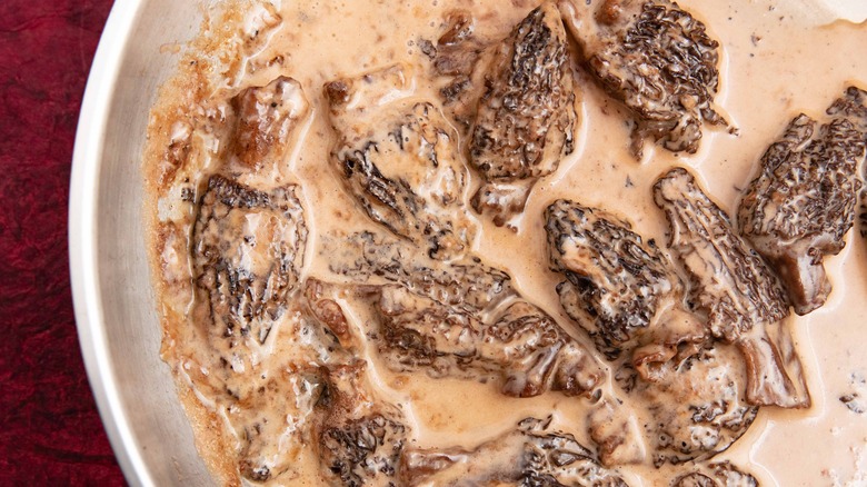 Morel mushrooms cooking in sauce