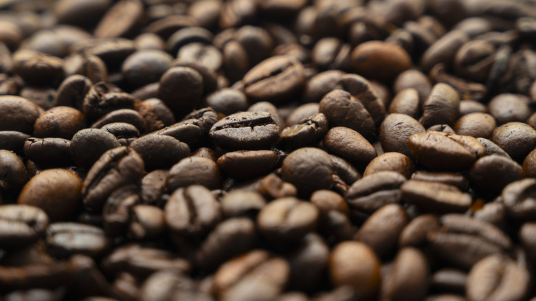 Roasted coffee beans