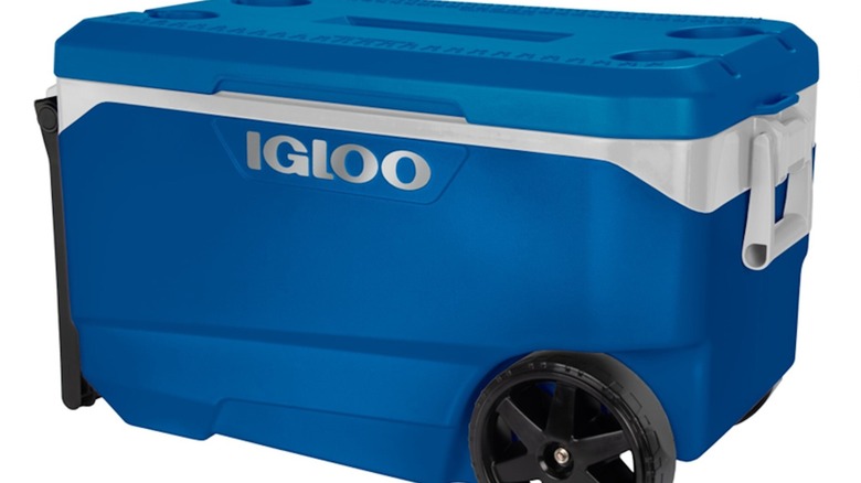 Blue igloo cooler