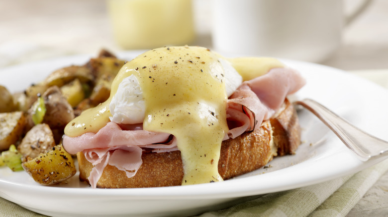 Eggs Benedict with Black Forest Ham and Hash Browns on Grilled French Bread