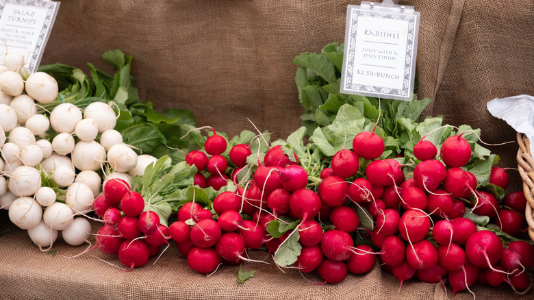 Turnips and radishes on display at a farmer's market