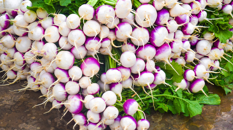 Fresh white and purple turnips