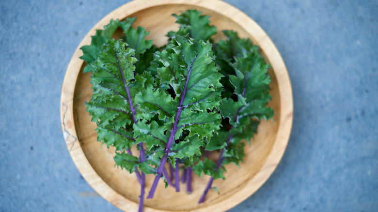 Russian red kale on plate