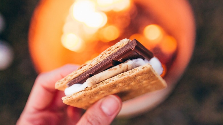 s'mores in front of campfire