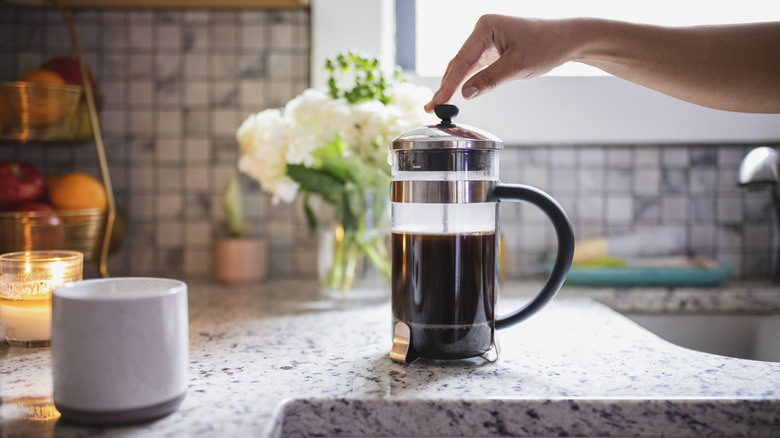 Using a French press to make coffee at home