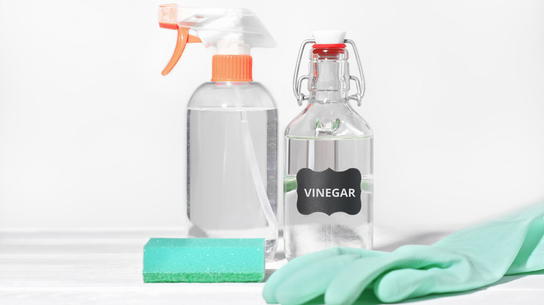 vinegar spray bottle and gloves