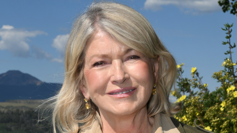 Martha Stewart smirking