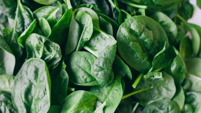 A close-up of a pile of leafy green spinach