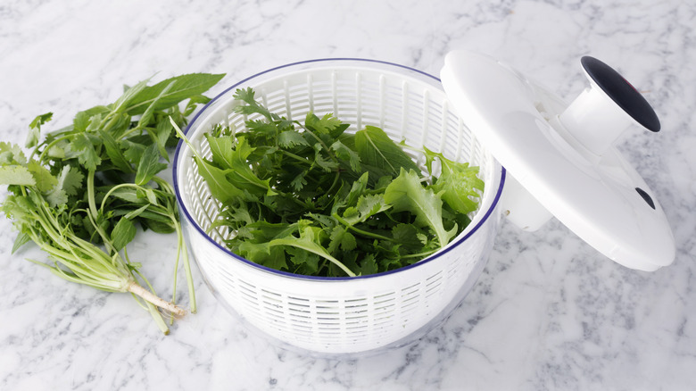 A white salad spinner filled with fresh greens on a white marble counter