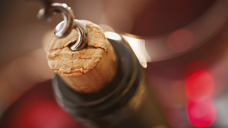 A closeup of a corkscrew inserted into a wine cork