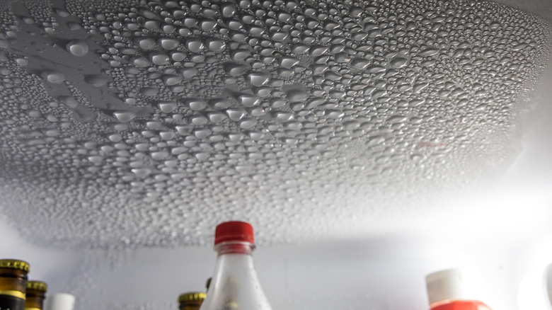 The top of a refrigerator with condensation on the ceiling