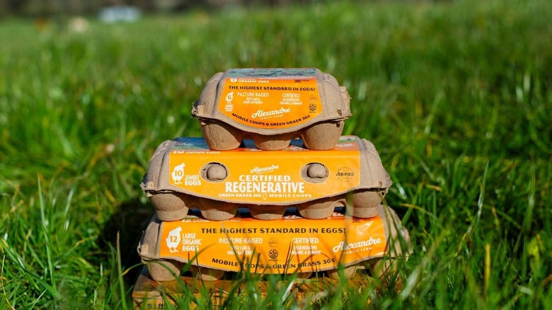 Three egg cartons stacked in a pasture