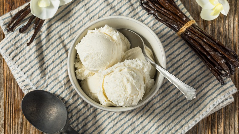 bowl of vanilla ice cream