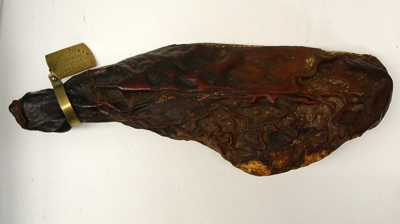 museum display of the world's oldest ham