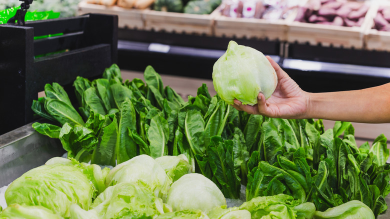 shopper picks up iceberg lettuce in grocery store