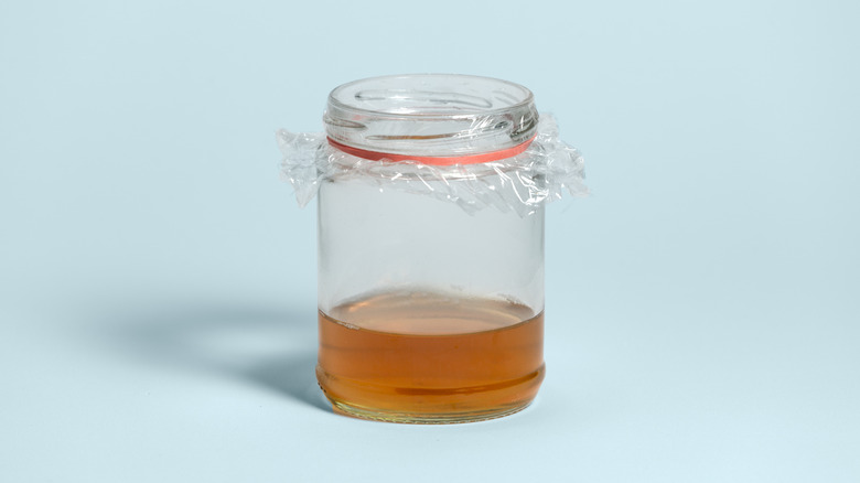 Apple cider vinegar glass jar fruit fly trap