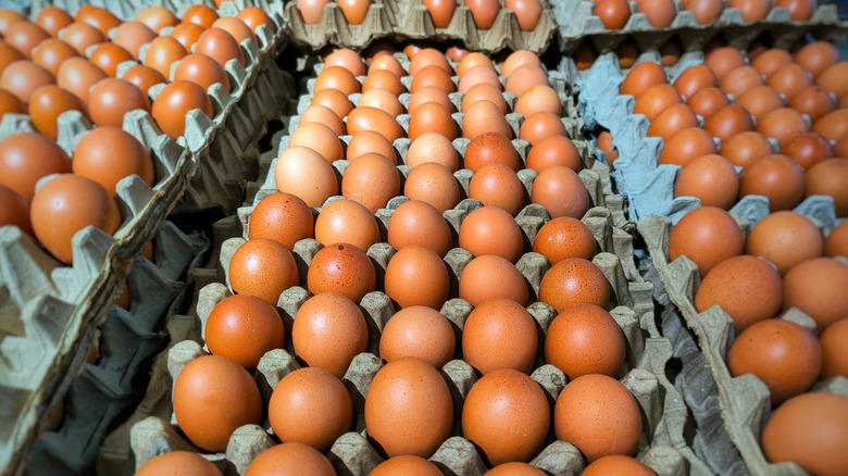 Fresh eggs in cartons at a supermarket