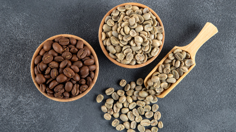 Bowl of regular coffee beans and green coffee beans with a scooper next to them