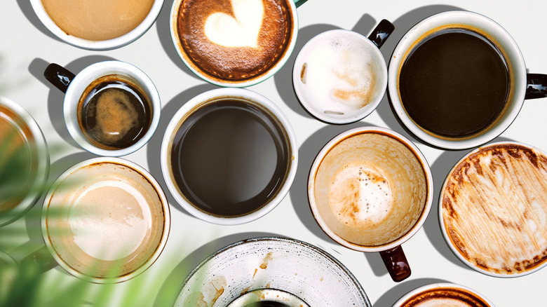 Various cups of coffee sitting next to each other on a white background