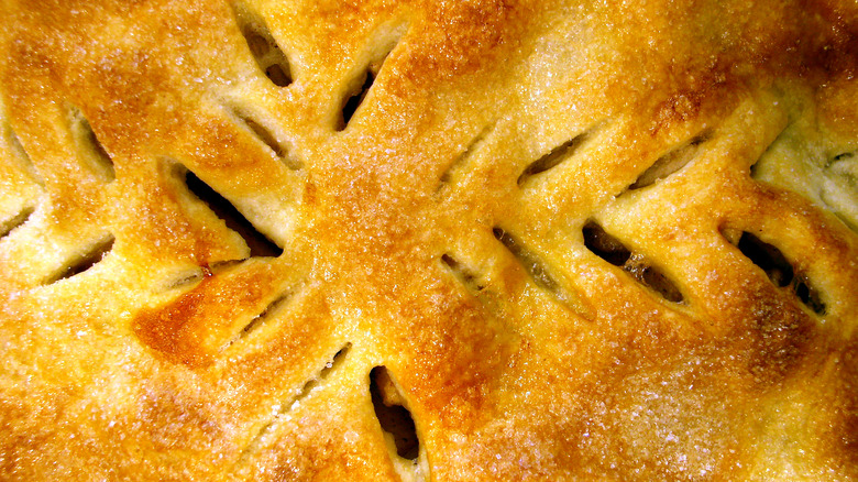 A close-up view of slits in a pie crust