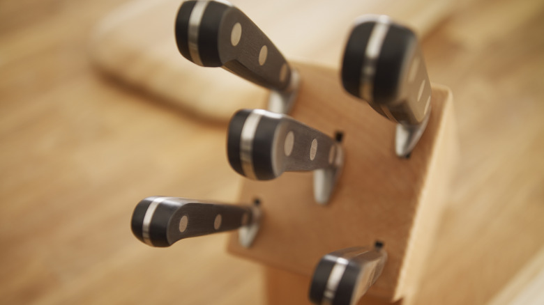 Five knives inside of a knife block