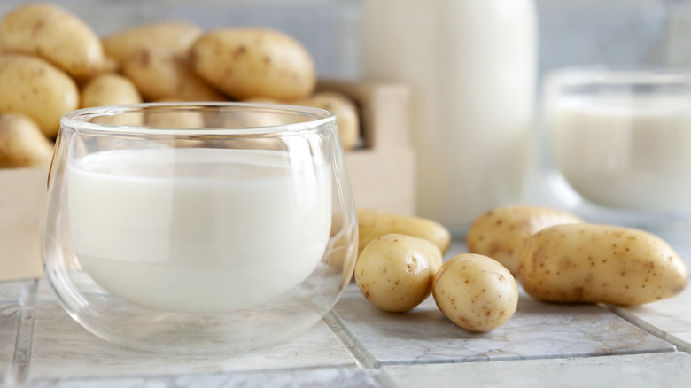 A small glass of creamy potato milk in front of a tray of raw potatoes