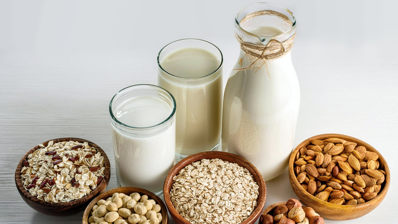 Two glasses and one jug of plant-based milk surrounded by bowls of almonds, oats, and nuts