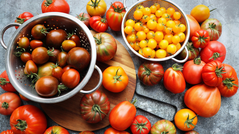 An assortment of colorful heirloom tomatoes