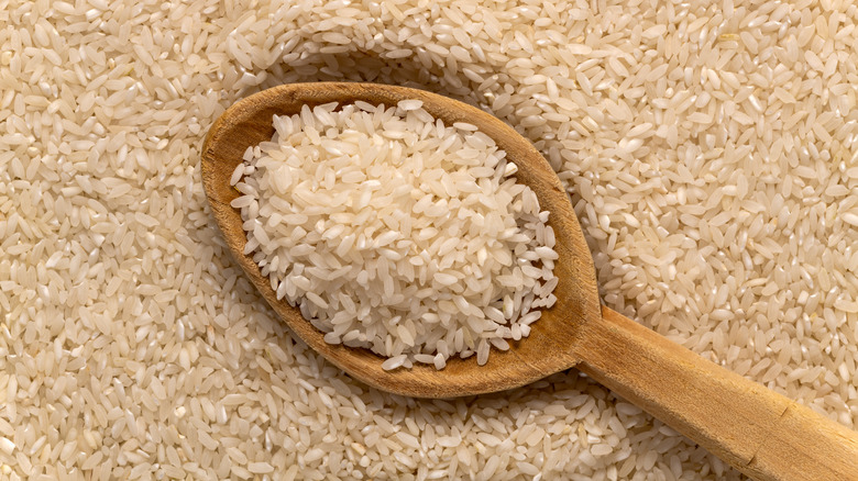 Carolina Gold rice with spoon