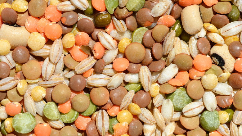 A mix of different legume varities