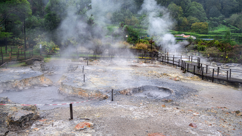 Steam ovens near the volcano in Furnas, Portugal