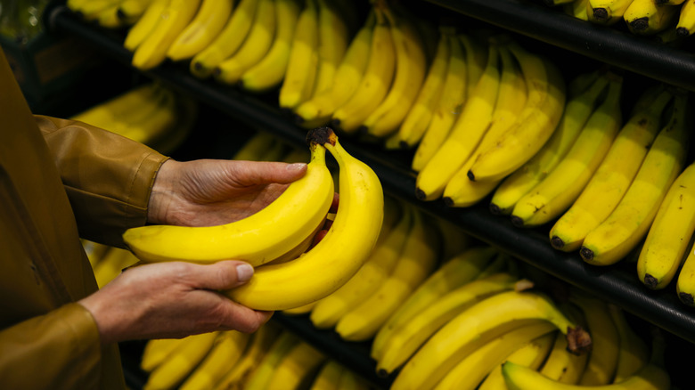 A person choosing bananas in the grocery store