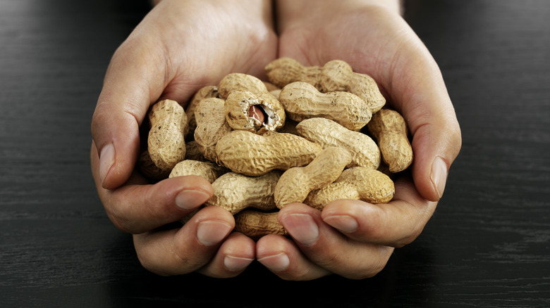 Peeled peanuts in hands