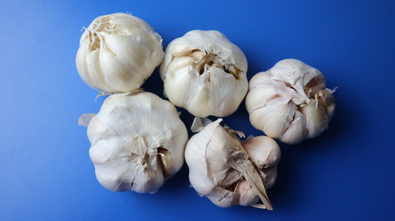 Garlic bulbs on blue background