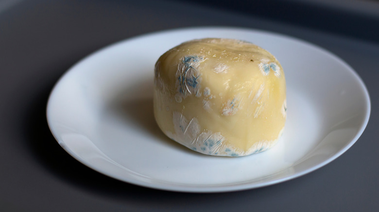 a bad ball of mozzarella with mold on a plate