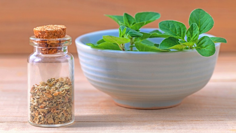 A bowl of fresh oregano sitting next to a bottle of dried oregano