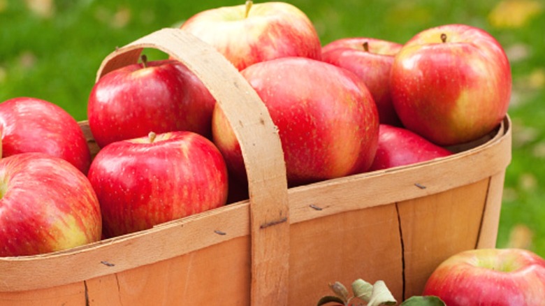 A basket of Honeycrisp apples.