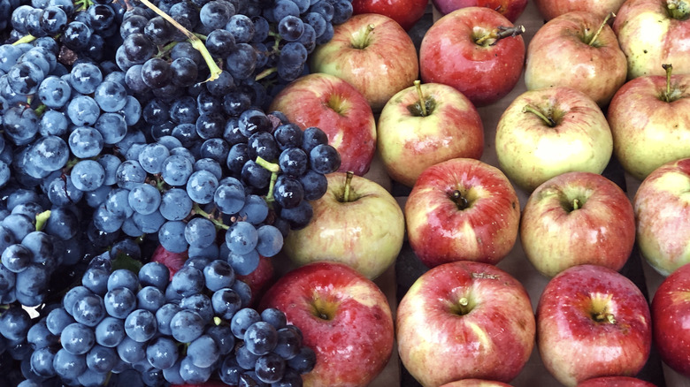 Concord grape bunches next to multiple apples