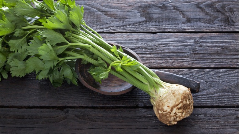 Celeriac (celery root) with stalks attached against wood background