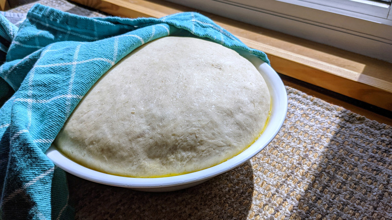 Dough proofing in a white bowl half covered with a blue kitchen towel