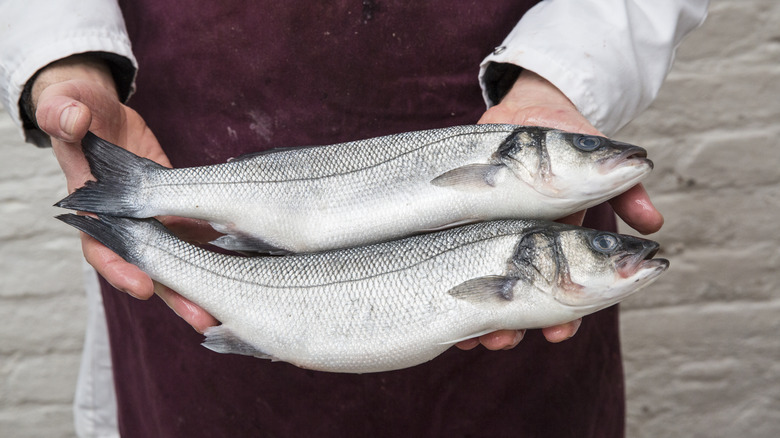 fishmonger holding two fish