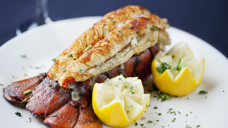 a luscious lobster tail with lemons, garnished with parsley on a white plate