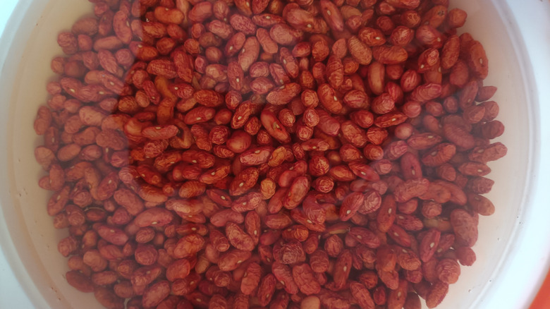 red beans soaking in a white bowl full of water